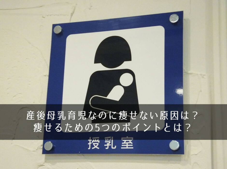 産後母乳育児なのに痩せない原因は？痩せるための5つのポイントとは？