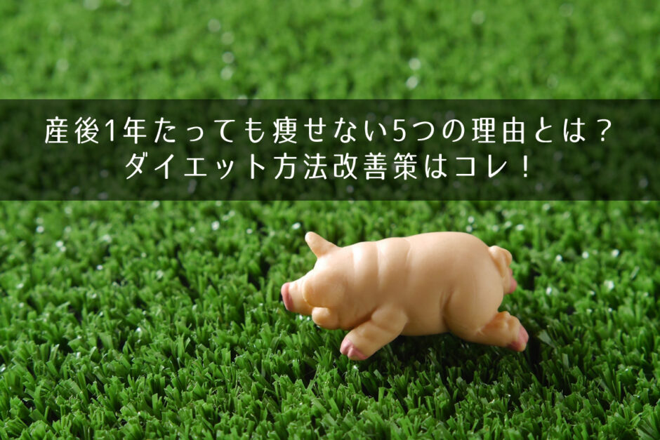 産後1年たっても痩せない5つの理由とは？ダイエット方法改善策はコレ！