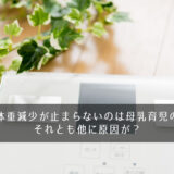 産後の体重減少が止まらないのは母乳育児のせい？それとも他に原因が？