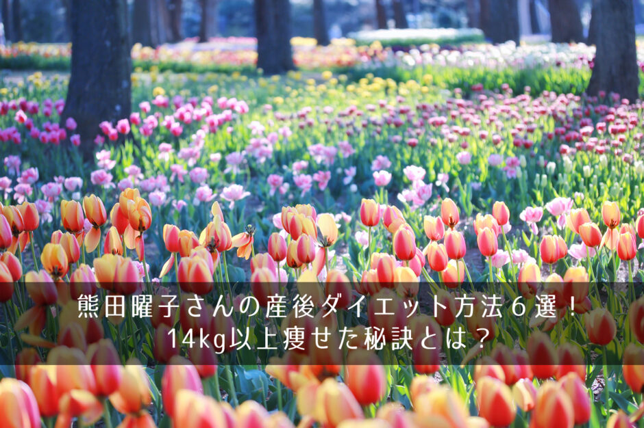熊田曜子さんの産後ダイエット方法６選！14kg以上痩せた秘訣とは？