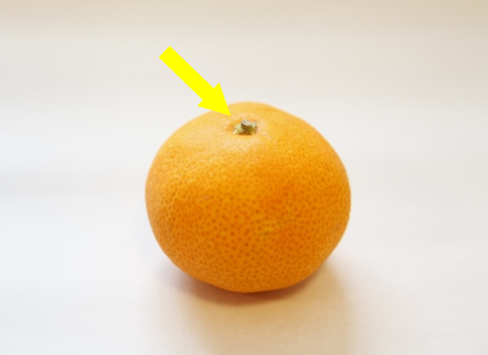 甘いみかんの見分け方