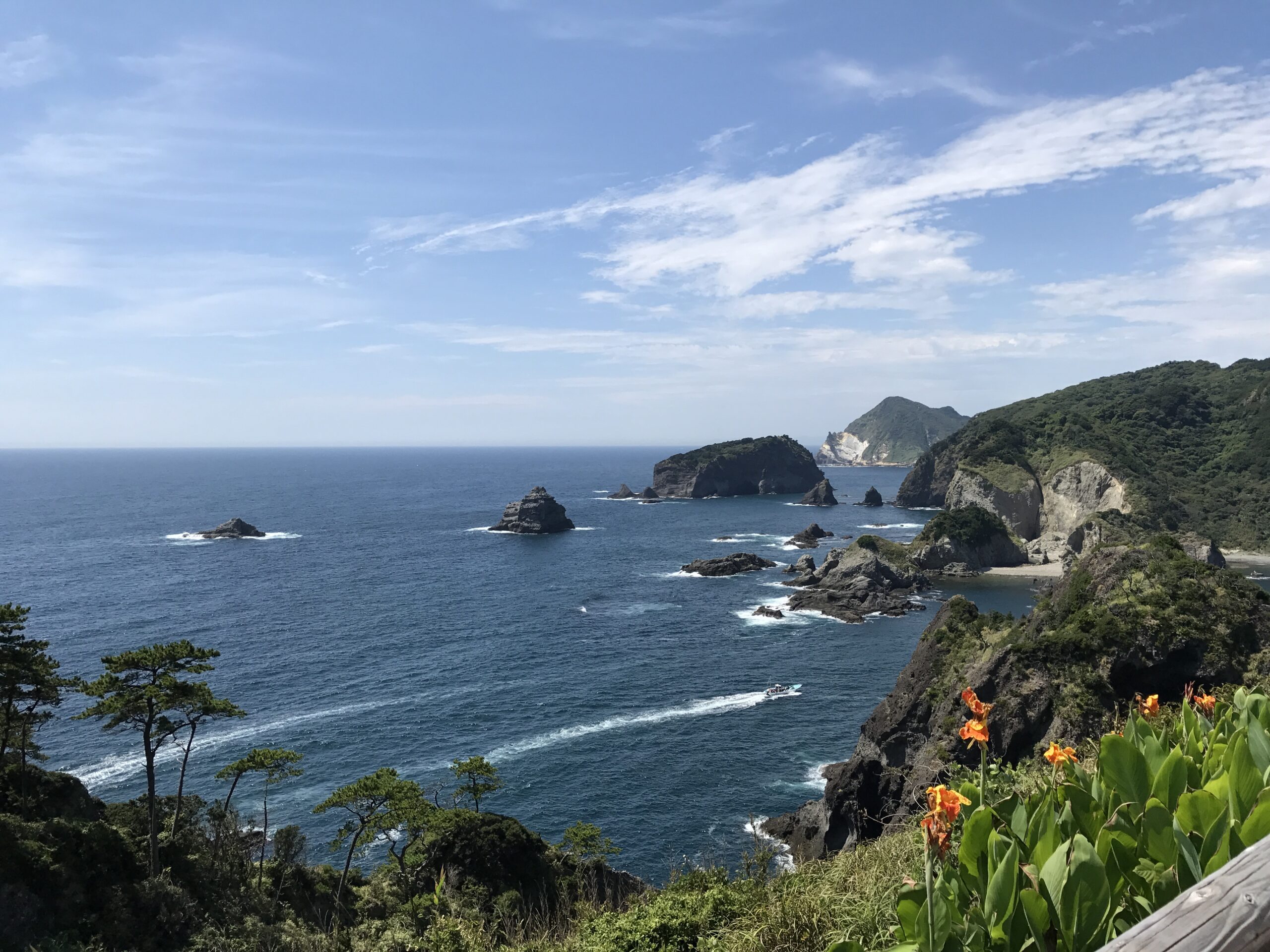 海