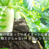 大根の効能って？ダイエットに最適！煮物だけじゃない！人気レシピ10選