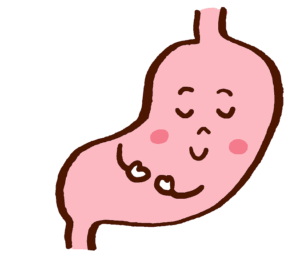 胃の休息